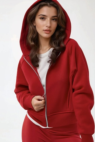 Hiccup Rahat Kesim Kapüşonlu Fermuarlı Hoodie Kırmızı