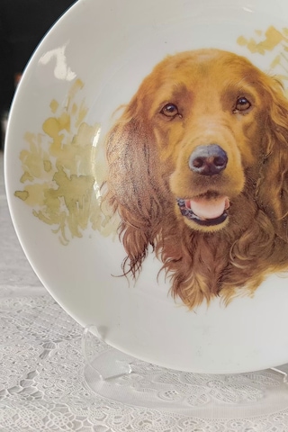 Köpek Figürlü Duvar Tabağı Kahverengi
