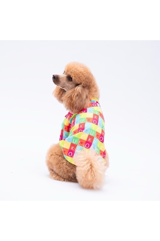 Pawstar Sarasota Kedi Ve Küçük Irk Köpek Gömleği