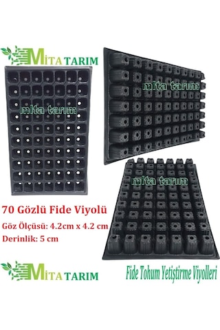 Fide Viyol, 70 Göz, 10 Adet, Fidelik, Fide Viyolü, Fide (307184829)