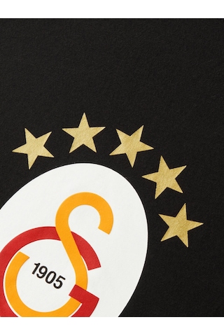 Galatasaray Lisanslı 5 Yıldız Büyük Logolu Siyah T-shirt Aslan Ahşap Kutulu E251402