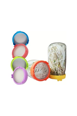 Willowhaven Evde Kendiniz Sağlıklı Yeşil Filiz Yetiştirme Kiti 1 Adet