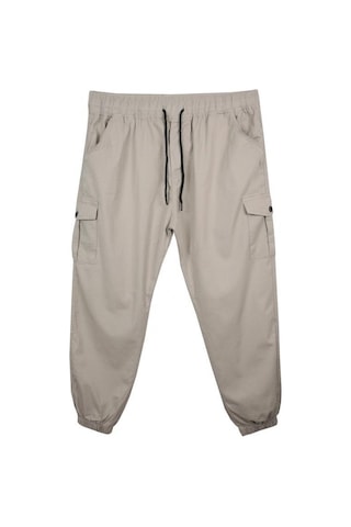 Kargo Cepli Büyük Beden Likralı Jogger Pantolon Taş