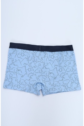 Toontoy Erkek Çocuk Çizgili Desenli Baskılı 4lü Paket Boxer Çok Renkli