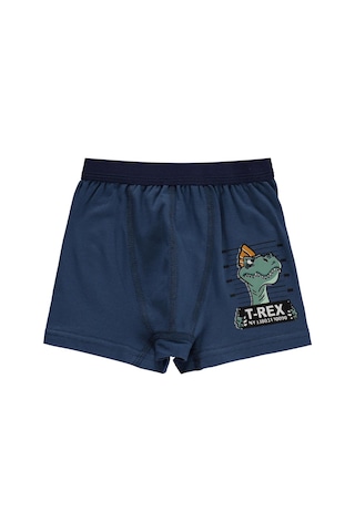 Civil Boys Trex 2-12 Yaş Erkek Çocuk 2'li Boxer Standart