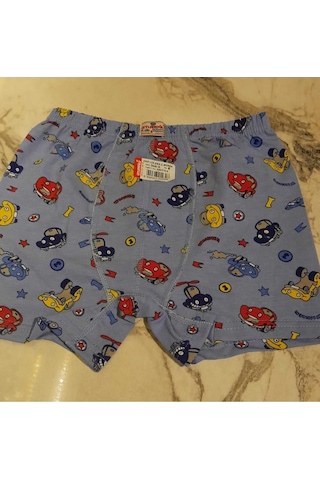 Ceylanoğlu Erkek Çocuk 6'lı Boxer KARIŞIK RENK