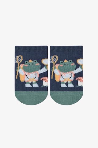 Penti Renkli Erkek Çocuk Catcher Frog 4 'lü Frog