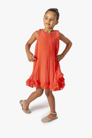 Vıva Cıty Elbıse Nar Çiçeği