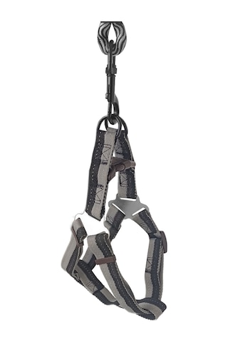 Köpek Göğüs Tasma Seti Dalga Desenli 2.5 Cm 50-72 Cm Siyah-beyaz Beyaz - Siyah