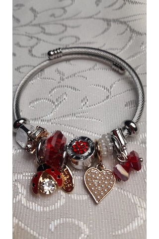 Uzel Çelik Gümüş Silver Model Inci Kalpli, Uğur Böceği Charmlı Çelik Bileklik Kırmızı