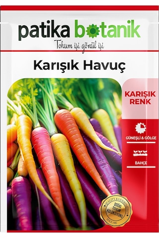 2500 Adet Yerli Ata Karışık Havuç Tohumu Sarı,turuncu, Mor, Kırmızı