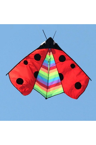 Suntek Delta Kite Fly Uçurtma Spor Bahçesi Için Büyük Kanat