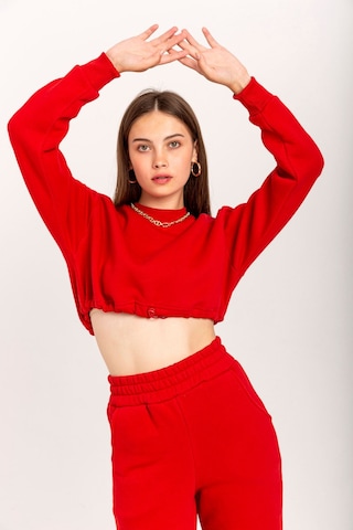 Kaktüs Moda Şardonlu 3 İplik Kumaş Uzun Kol Kadın Sweatshirt Kırm