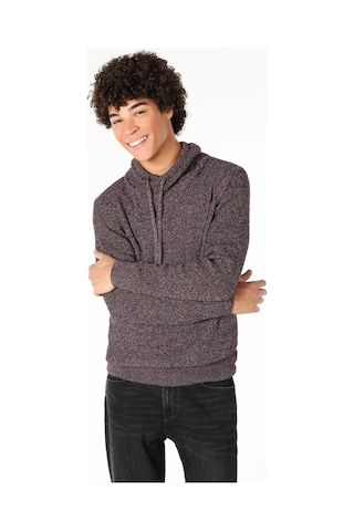 Colin's Slim Fit Bordo Erkek Kazak CL1060914_Q1.V1_BRD Bordo