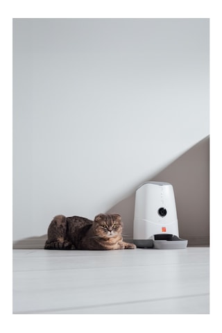 Otomatik 1080p Kameralı Mama Kabı Uzaktan Wifi Kontrollü