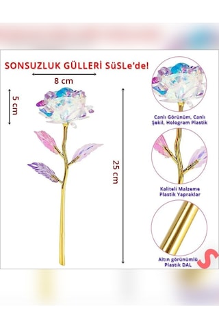 Sonsuzluk Gülü Hediyelik Gül Ev Dekor Sevgiliye Hediye Anneler Günü Hediyesi Solmayan Gül
