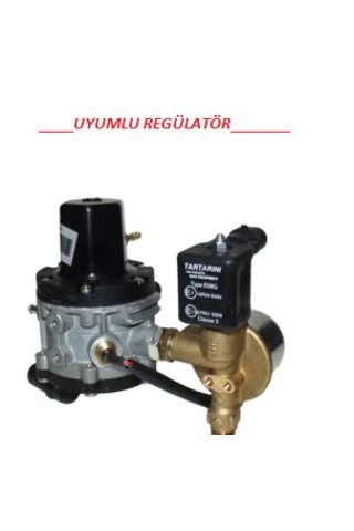 Tartarini Regülatör Su Dirseği