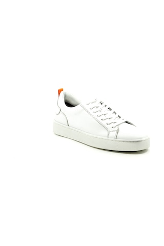 Dexter Dx279077-37 Çok Renkli