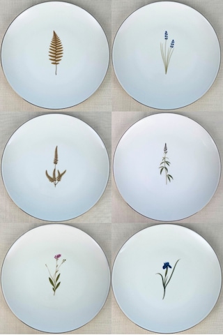 Tabak Evi Porselen Natura Karma Altın Yaldız Servis Tabağı 24,50cm 6 Lı Çok Renkli