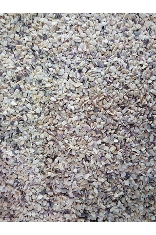 Purecanpati Midye Kırığı 100 G