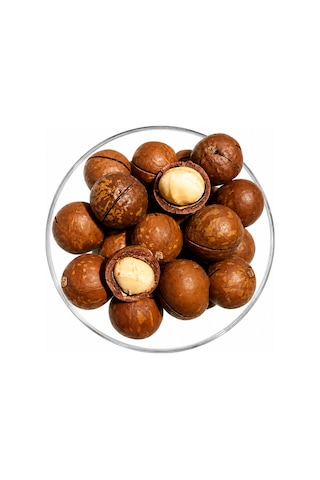 Makademya Fındığı Kabuklu 500 Gram 500 G