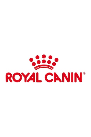 Royal Canin British Shorthair Adult Kedi Maması 4 Kg
