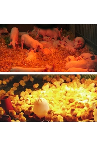 Flybuy 100w-300w Hayvan Isıtma Lambası, 3 Kademe Sıcaklık Ayarı, Evcil Hayvan Yetiştirme İçin