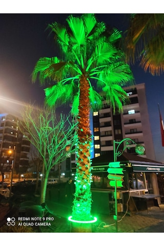 Palmiye Çember Aydınlatma Ip67 80cm