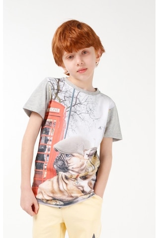 Brz Kids Dijital Baskılı Erkek Çocuk Kısa Kollu T-Shirt Çok Renkli (535266515) Çok Renkli