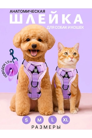 Tori Küçük Ve Orta Irklar İçin Tasmalı Köpek Kayışı Ve Kedi Şeridi 481276812