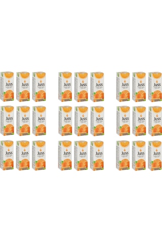 Juss Portakal Nektarı 200 Ml X 27 Adet
