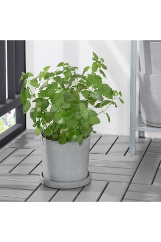 Ikea Boysenbär Saksı Altlığı, Açık Gri, 19 Cm