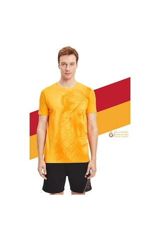 Gsstore Galatasaray Orijinal Lisanslı Aslan Baskılı Sarı T-shirt Gs Aslan Baskılı Hediyelik Ahşap Kutulu Sarı