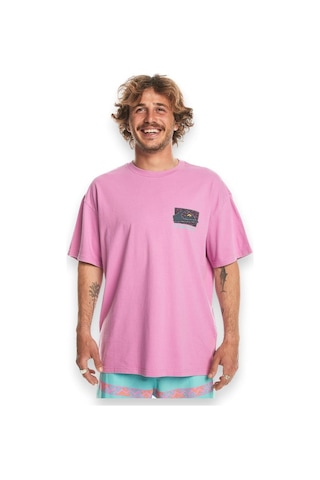 Quiksilver Eqyzt07653 Spin Cycle Ss Pembe Erkek T-shirt Pembe