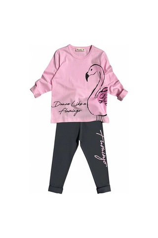 Flamingo Desenli Pembe Renk Kız Çocuk Mevsimlik Taytlı Takım Pembe