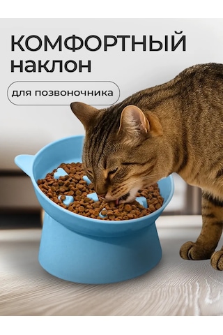 Vektorı Kedi Kabı 391740897