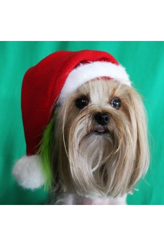 Max Orta Irk Köpeklere Uygun Noel Şapkası