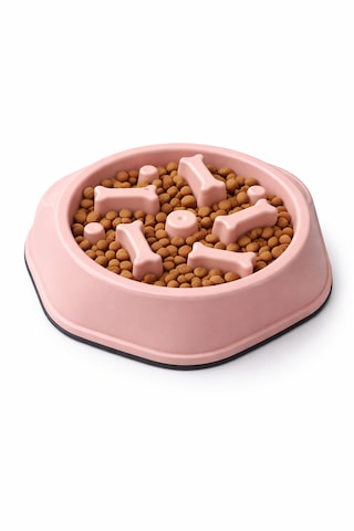 Köpek Yavaş Yeme Mama Kabı Anti-gulping Slow Feeder Kaymaz Tabanlı Sağlıklı Mama Kabı