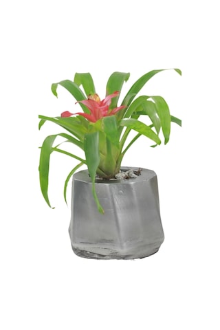 Saksı Çiçek Kaktüs Saksısı Lüx 15 Cm Kalın Çizgili Desen Saksı Çiçeklik - Gümüş Eskitme