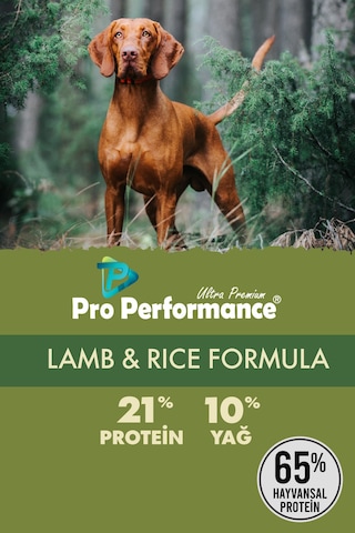 Pro Performance Kuzu Etli Yetişkin Köpek Maması 18 KG