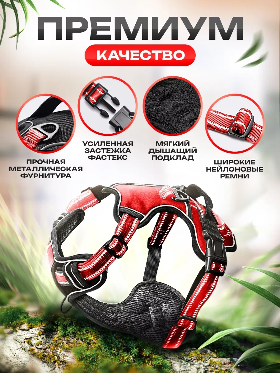 Petfort Orta Ve Büyük Irk Köpekler İçin Anatomik Koşu Kayışı 175588727 Kırmızı