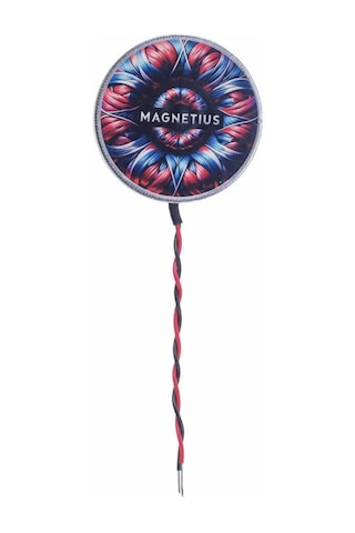 Magnetius 5v 10kg Elektro Mıknatıs