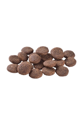 Brit Care Yetişkin Köpekler İçin, Tek Proteinli, Hipoalerjenik, Kuzu Etli Kuru Mama 12 Kg