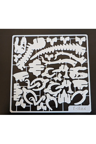 T-rex İskelet Kit Kart