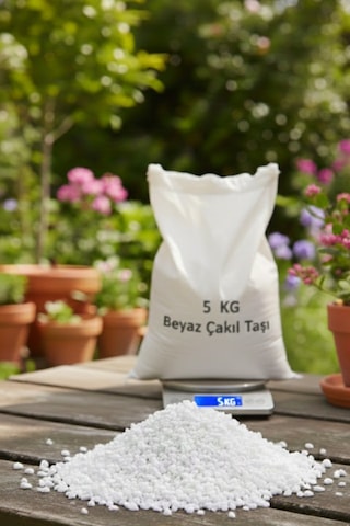 5 Kg Beyaz Çakıl Taşı Vazo Saksı Bahçe Taşı, Doğal & Dekoratif