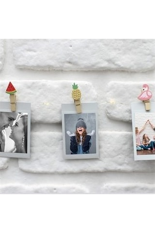 Petrix 25 Led Işık Fotoğraf Mandalı Hayvanlı