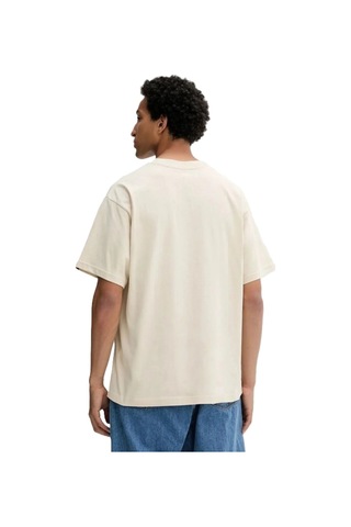 Vans Left Chest Iı Loose Ss Erkek Bej T-shirt - Vn000p1p