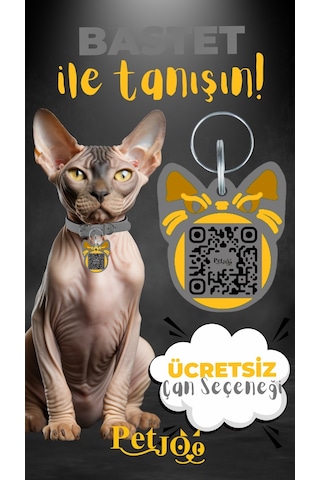 Petjoo 1.Bastet Sarı-Gri Qr'lı Kedi Künyesi