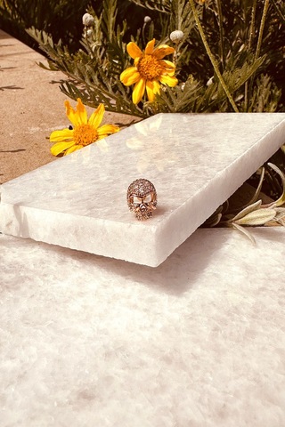 Taşlı Kurukafa Tasarım Rose Gold Renk 316l Stainless Steel Çelik Piercing Tragus Helix