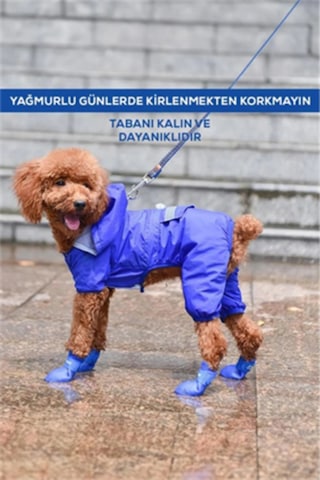 Kedi Ve Köpek Pati Ayakkabısı Silikon Kaymaz Tabanlı, Cırt Cırtlı, Çok Renkli & Farklı Beden Seçen